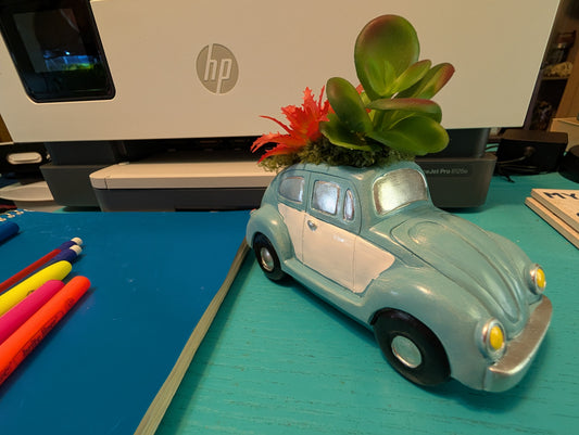 Volkswagen Bug