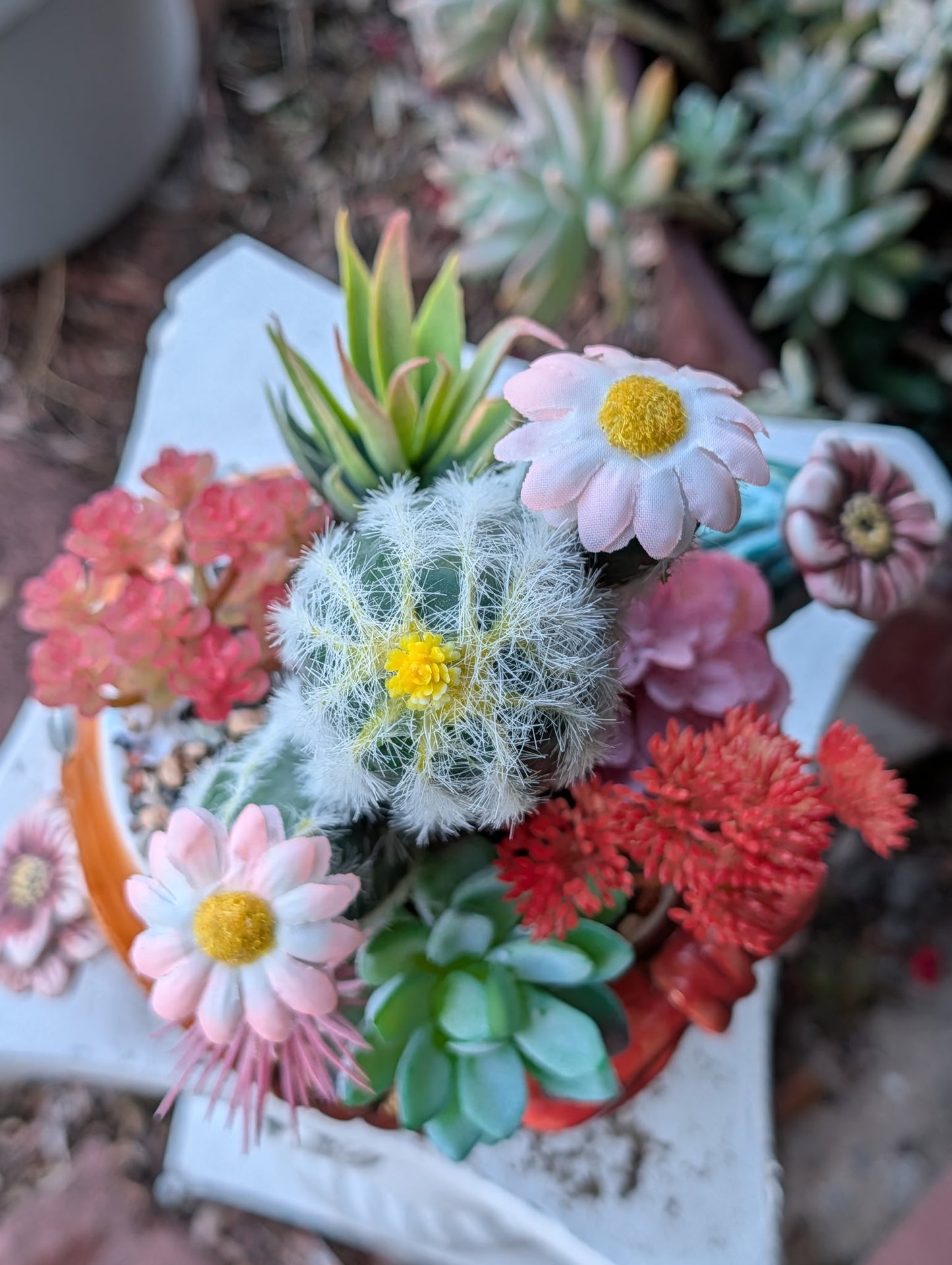 Kowboy Cactus Ceramic Pot with Faux Desert Flowers
