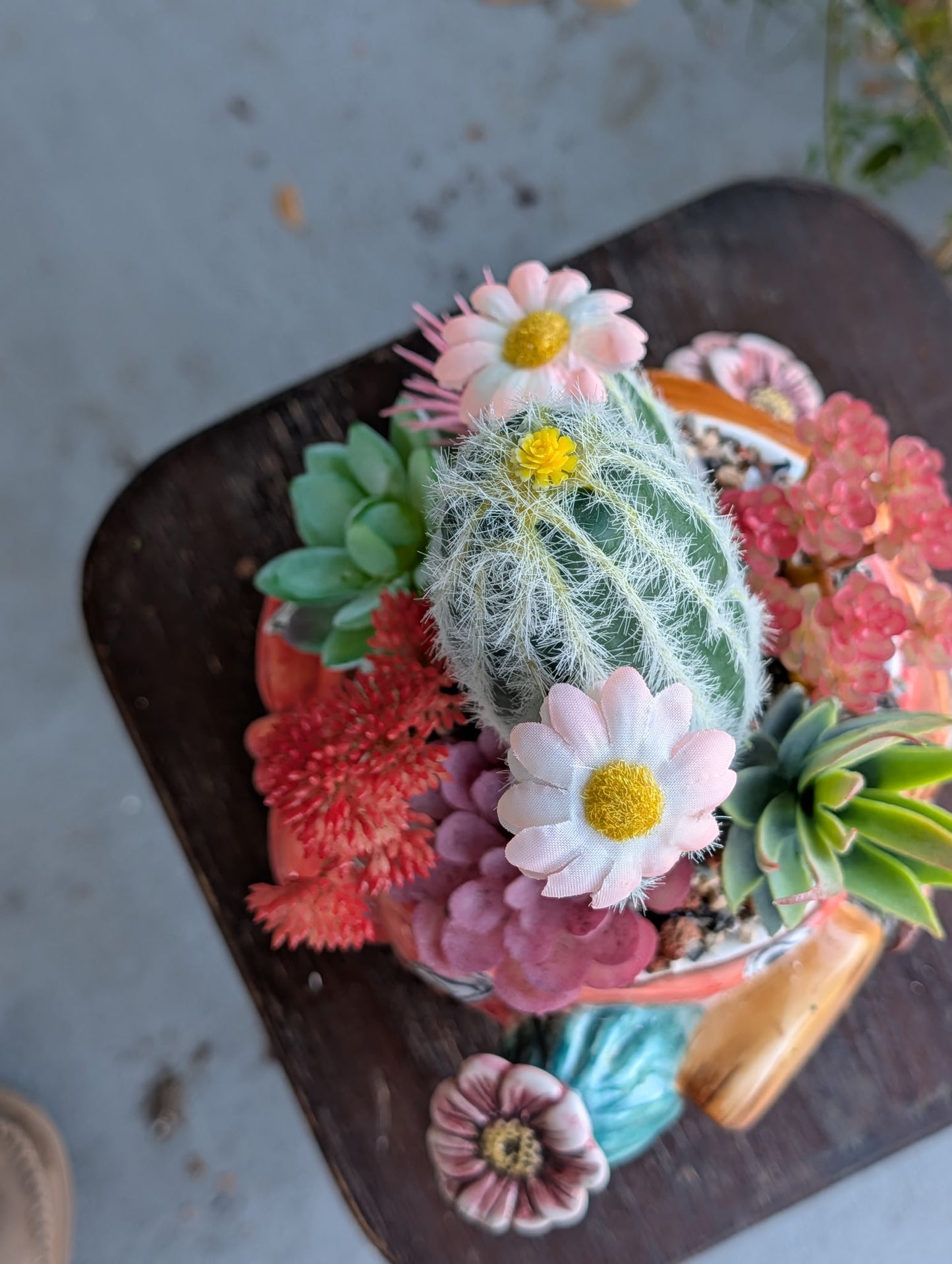 Kowboy Cactus Ceramic Pot with Faux Desert Flowers