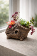Log with Faux Plants