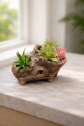 Log with Faux Plants #2