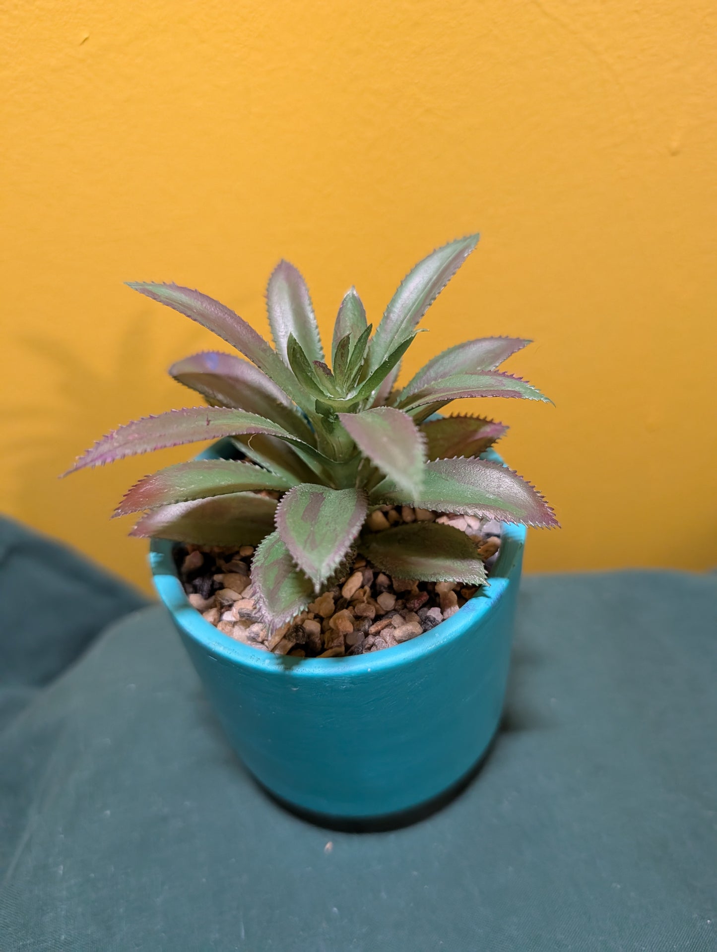 3" Faux Succulent