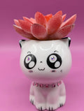 Cute White Ceramic Cat Planter with Faux Red Succulent