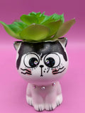 Black Hat Cat Ceramic Planter with  Faux Green Succulent