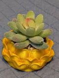 Golden Lotus Faux Succulent Pot