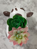 Brown and white cow