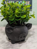 Piggy Squiggy