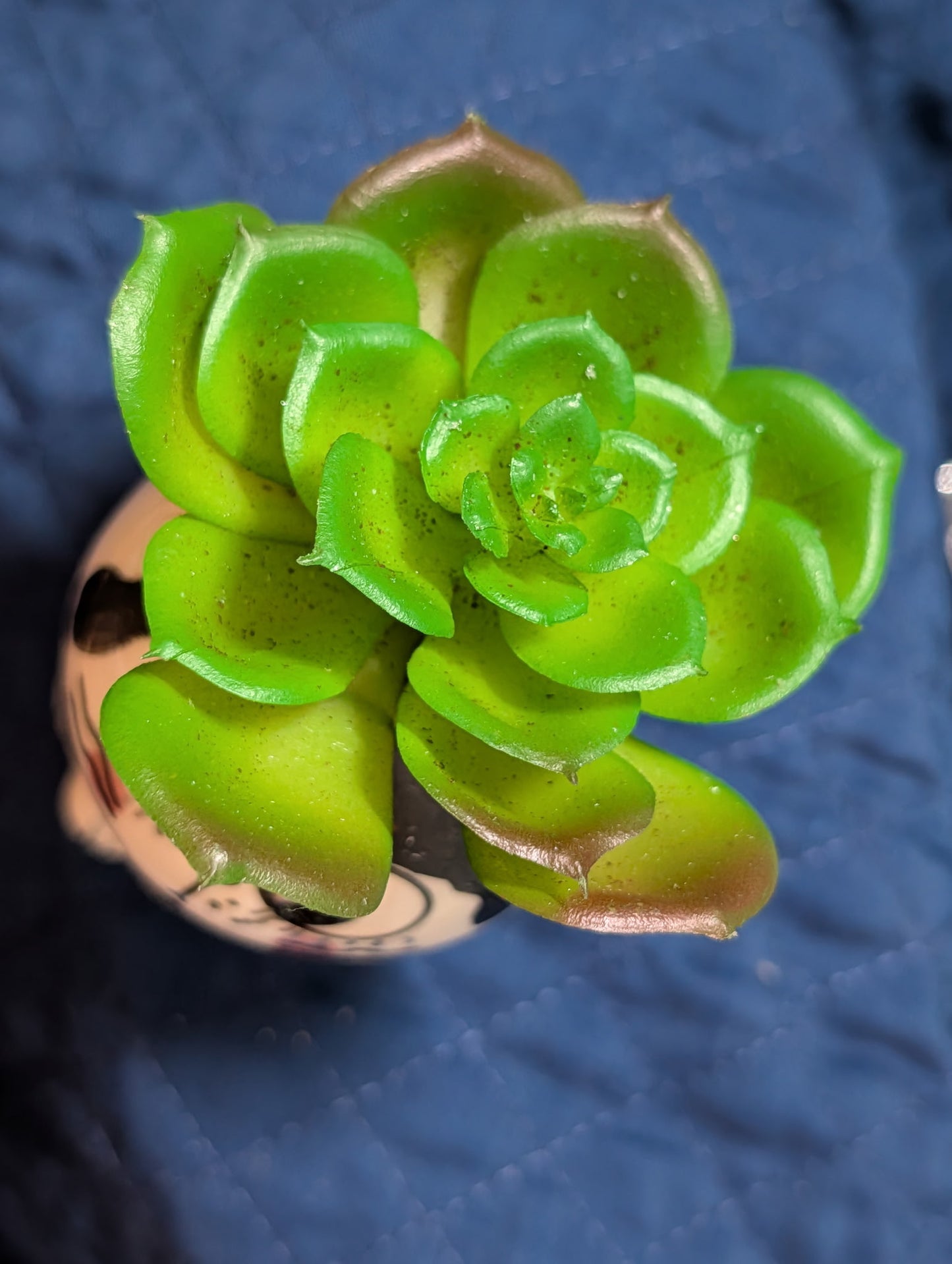 Brown Cat Ceramic Planter with  Faux Green Succulent