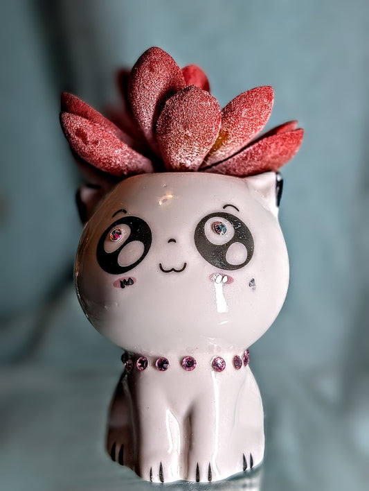 Cute White Ceramic Cat Planter with Faux Red Succulent